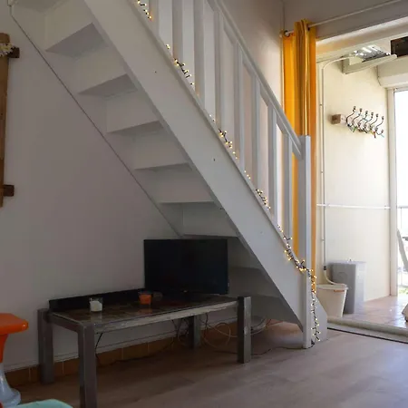 Apartment Duplex 2 Pieces Avec Piscine Et Parking, A 300m De La Plage A Plage - Fr-1-229b-81 *