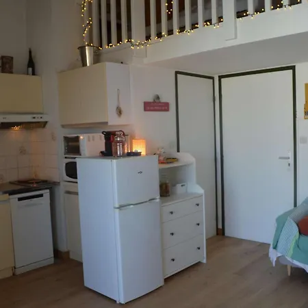 Apartment Duplex 2 Pieces Avec Piscine Et Parking, A 300m De La Plage A Plage - Fr-1-229b-81 *